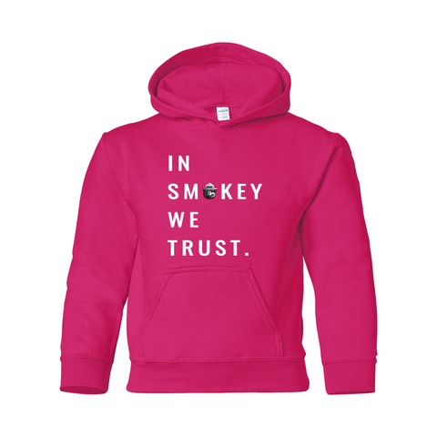 In Smokey We Trust - Youth Hoodie - Wears The Mountain