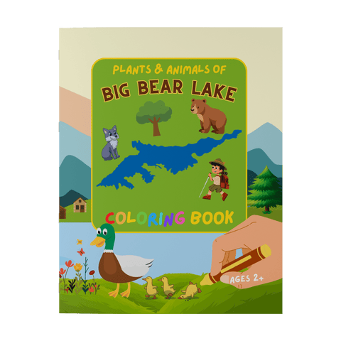 Plants and Animals of Big Bear Lake - Coloring Book (Ages 2+) - Wears The MountainBooksteelaunch