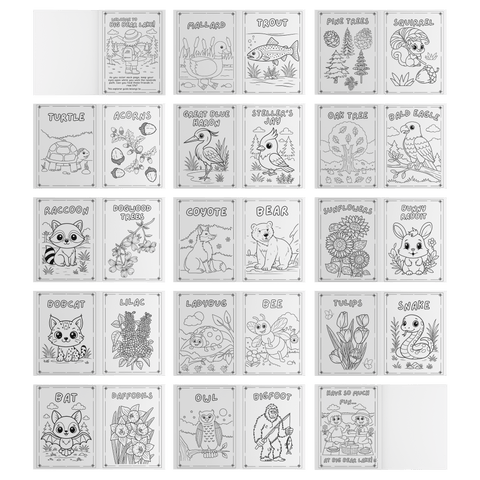 Plants and Animals of Big Bear Lake - Coloring Book (Ages 2+) - Wears The MountainBooksteelaunch