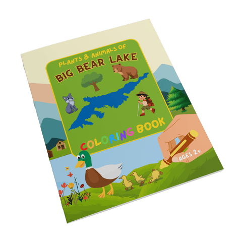 Plants and Animals of Big Bear Lake - Coloring Book (Ages 2+) - Wears The MountainBooksteelaunch
