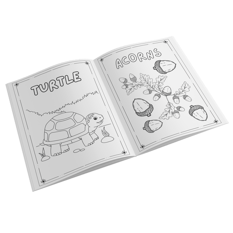 Plants and Animals of Green Valley Lake - Coloring Book (Ages 2+) - Wears The MountainBooksteelaunch