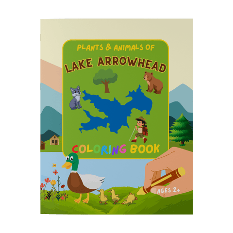 Plants and Animals of Lake Arrowhead - Coloring Book (Ages 2+) - Wears The MountainBooksteelaunch