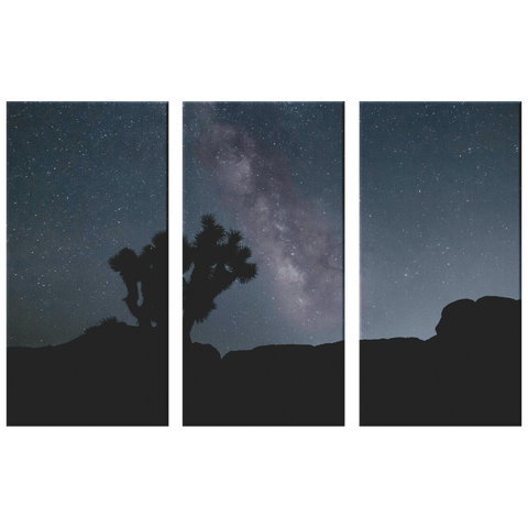 Joshua Tree Milky Way - 3 Piece Canvas - Wears The Mountain