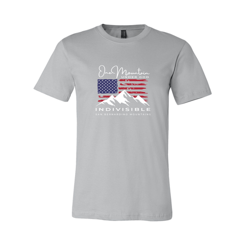 One Mountain, Under God, Indivisible - Premium Jersey T - Wears The MountainT-ShirtsPrint Melon Inc.