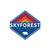 Skyforest Retro Diamond - Sticker - Wears The MountainStickersWears The Mountain